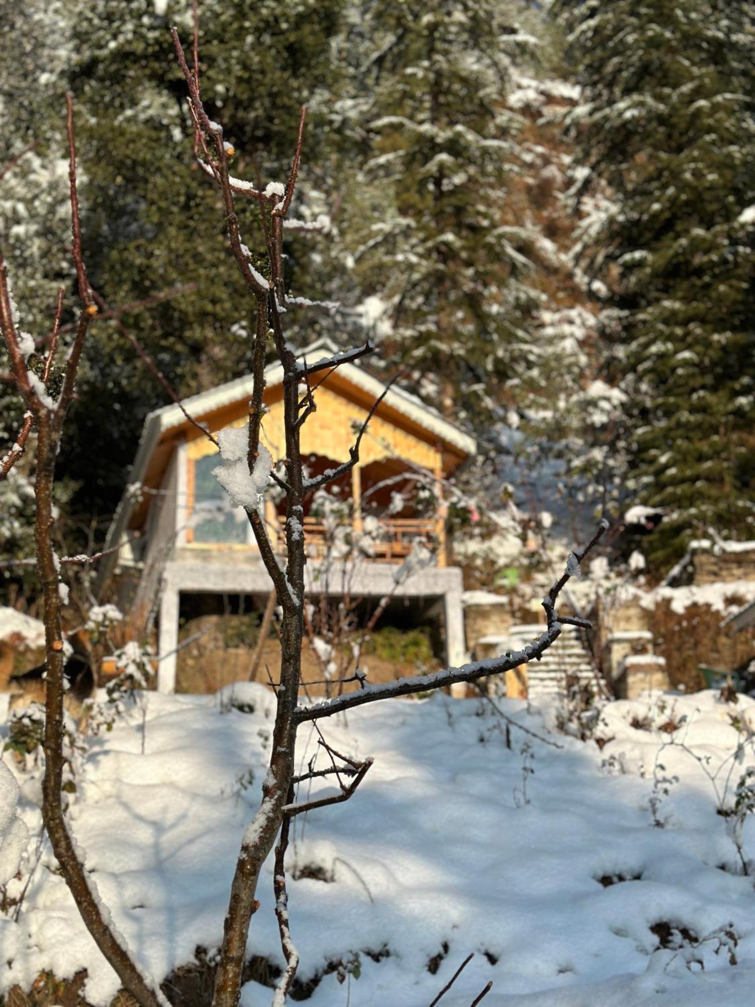 Hotel Tree House Latos Tandi Jibhi Exterior foto